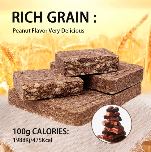 Barre énergétique aux saveurs de chocolat de 120 g